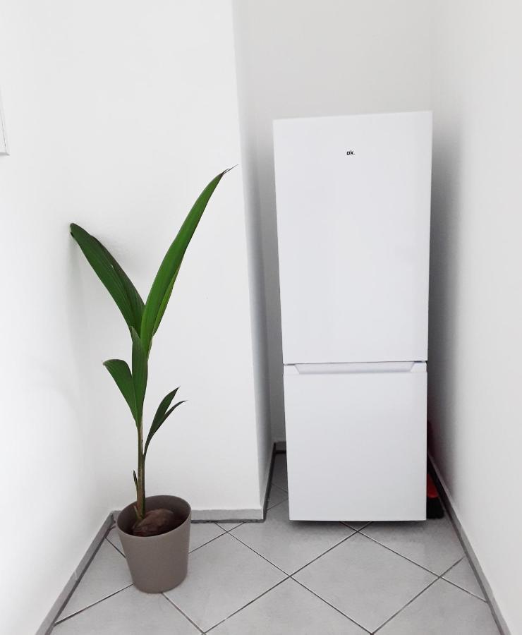 Schöne, ruhige Zweiraumwohnung im angesagten Altlindenau Leipzig Exterior foto